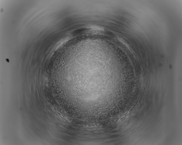 X0000090450823200707131226