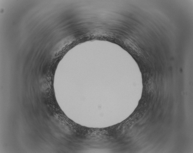 X0000090450824200707131226