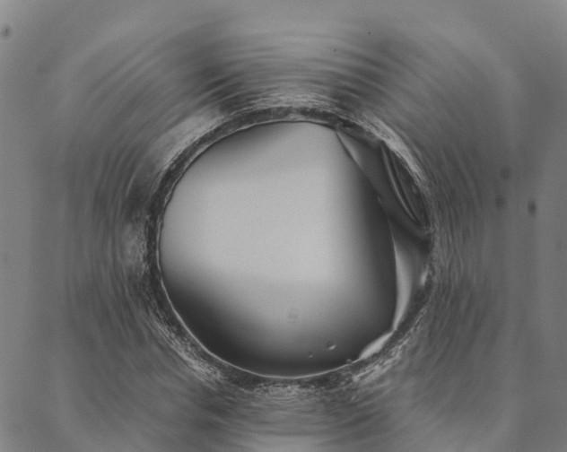 X0000090450826200707131226