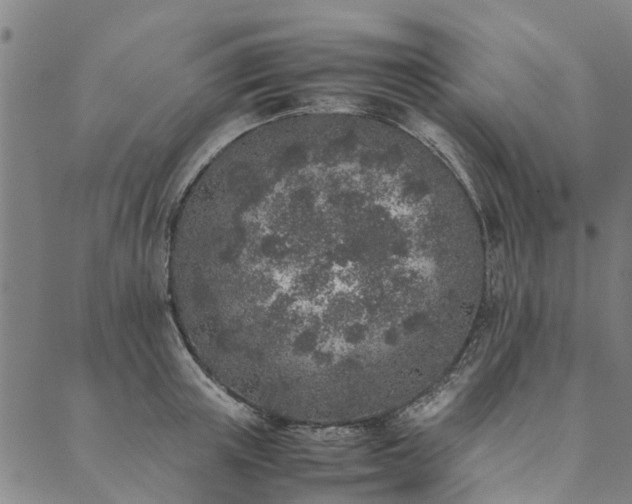 X0000090450851200707131226