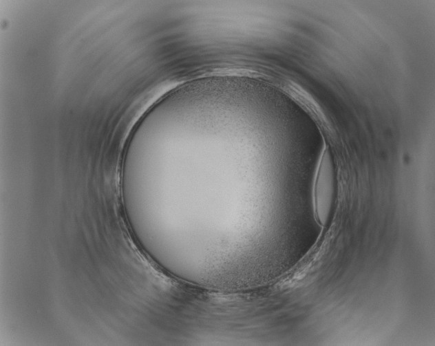 X0000090450852200707131226