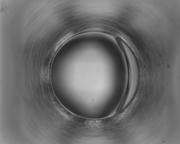 X0000090450858200707131226