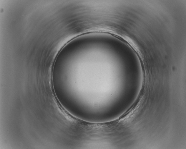 X0000090450862200707131226