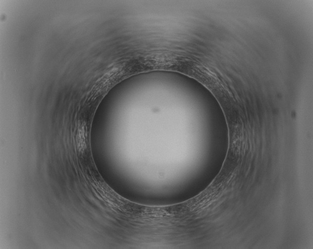 X0000090450866200707131226