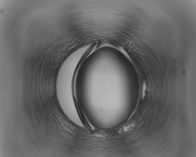 X0000090450868200707131226