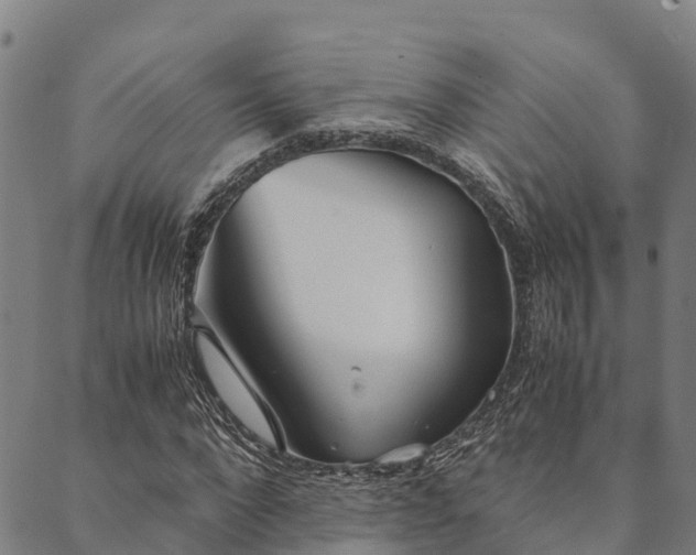 X0000090450872200707131226