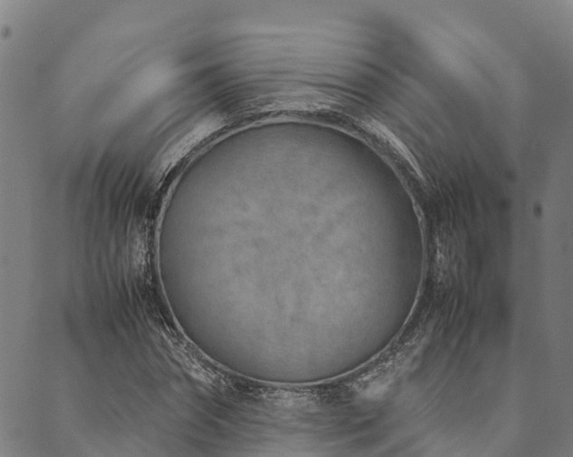 X0000090450874200707131226