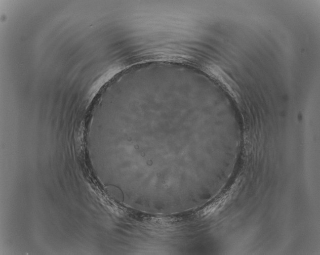 X0000090450875200707131226