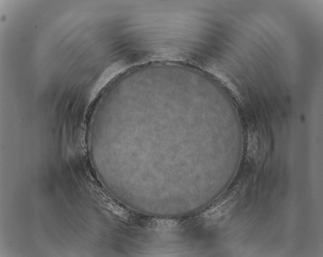 X0000090450878200707131225