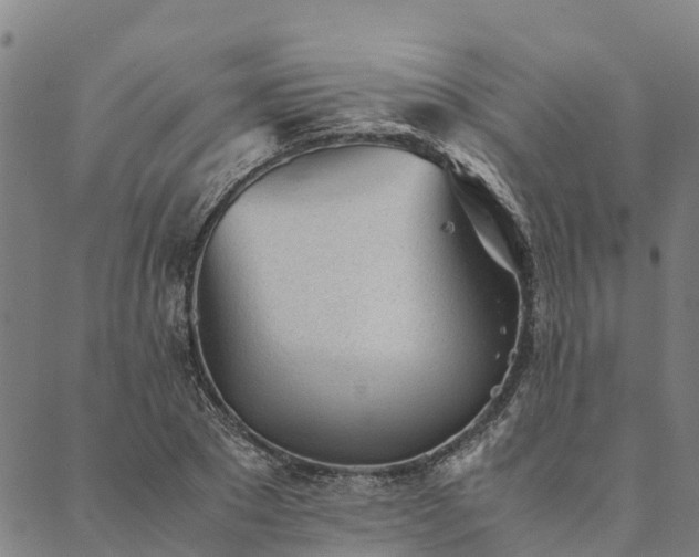 X0000090450881200707131225