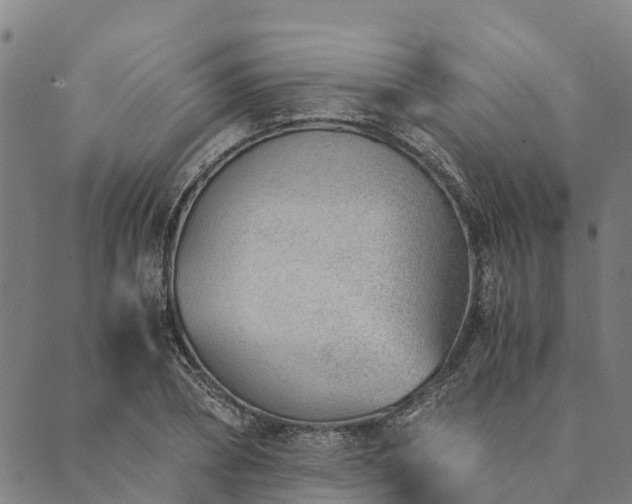 X0000090450882200707131225