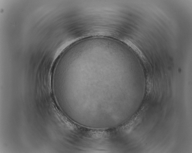 X0000090450886200707131225