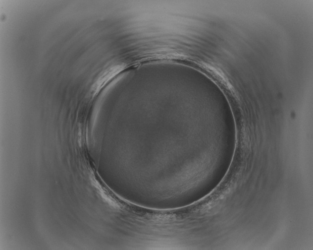 X0000090450889200707131225