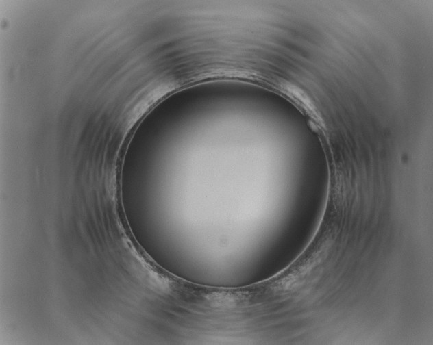 X0000090450898200707131225