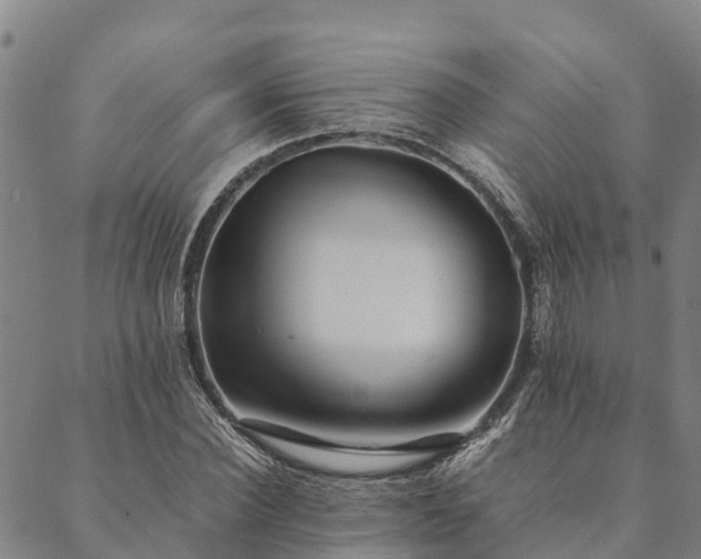 X0000090450924200707131224