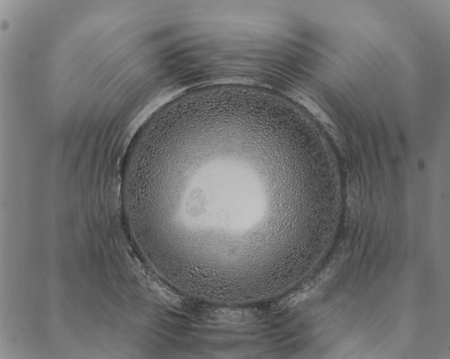 X0000090450933200707131224