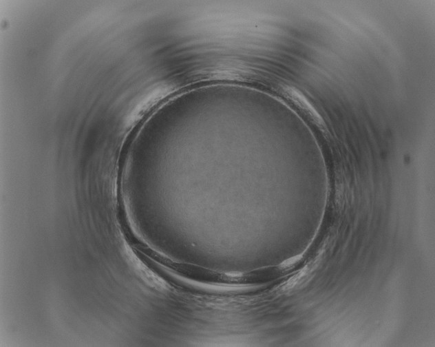 X0000090450938200707131225