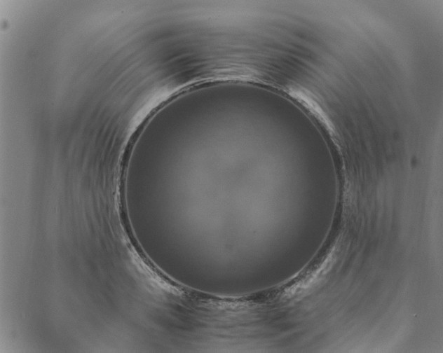 X0000090450941200707131225