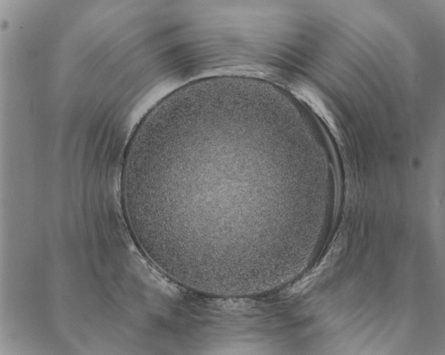 X0000090450952200707131225