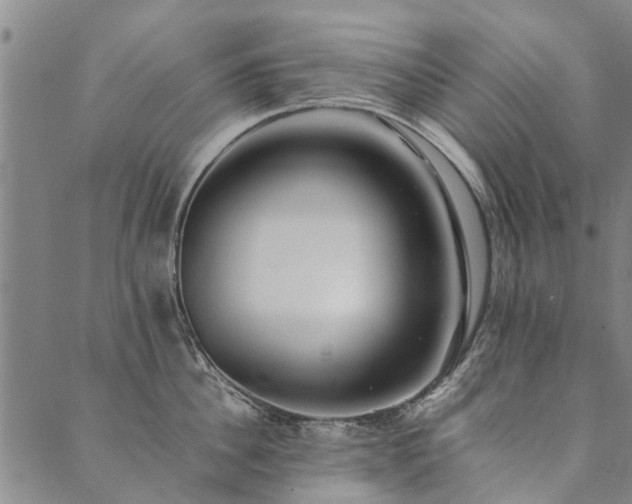 X0000090450956200707131225