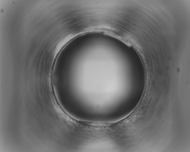 X0000090450960200707131225