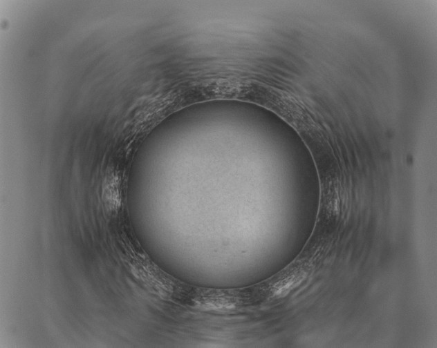 X0000090450962200707131224