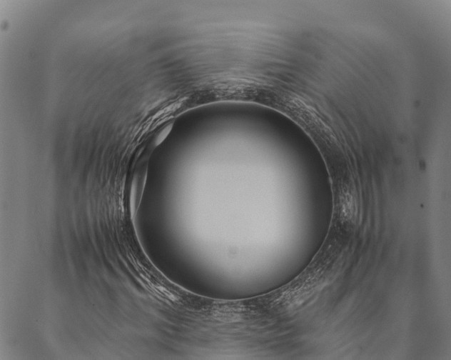 X0000090450964200707131224