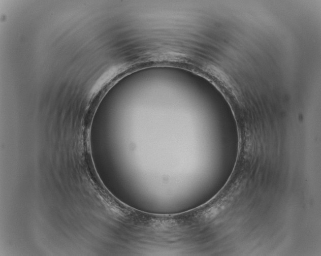 X0000090450978200707131224