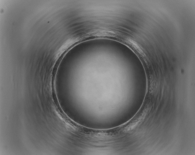 X0000090450986200707131224