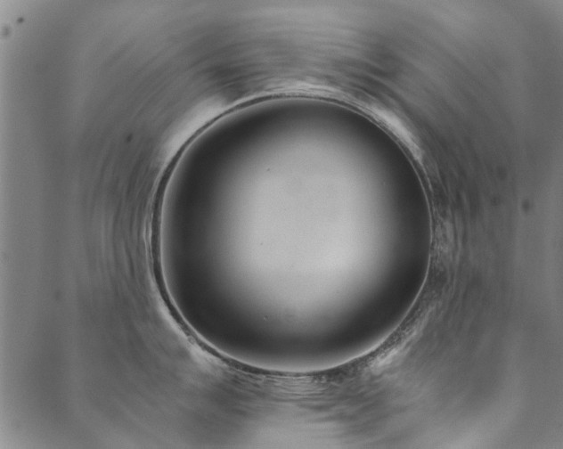 X0000090451007200707131223