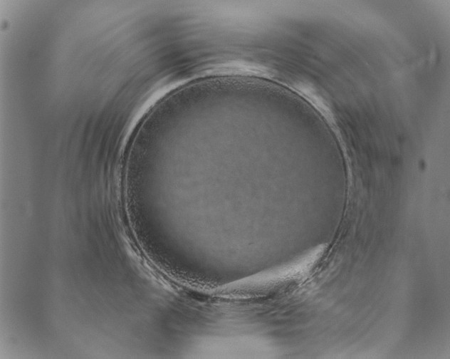 X0000090451008200707131223