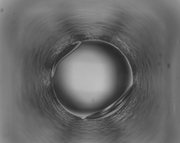 X0000090451012200707131223