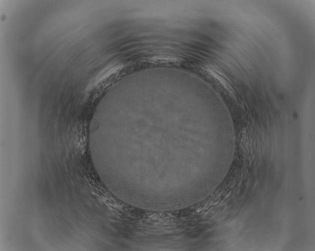 X0000090451015200707131223