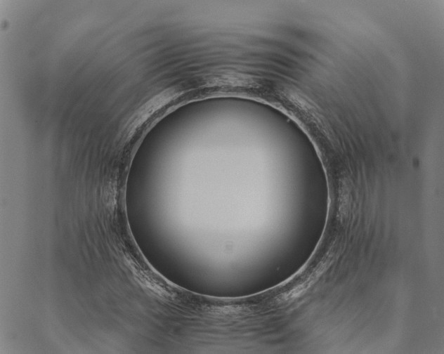 X0000090451017200707131223