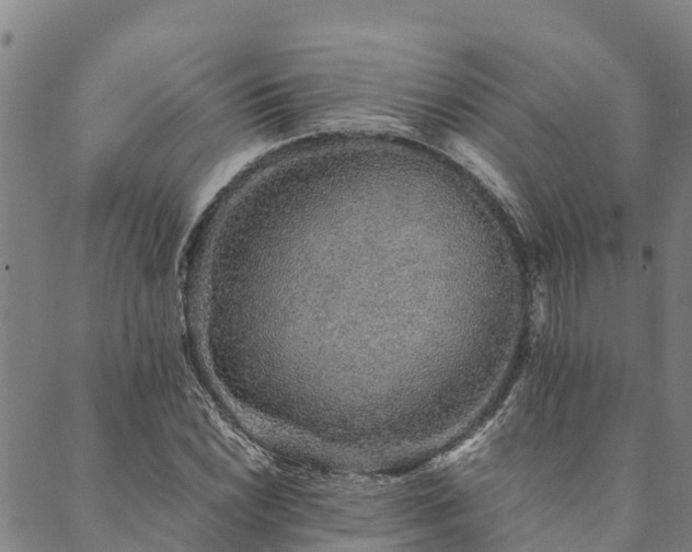 X0000090451022200707131223
