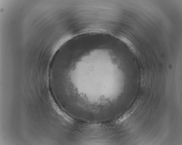 X0000090451038200707131223