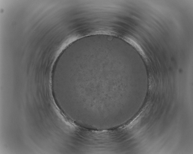 X0000090451043200707131223