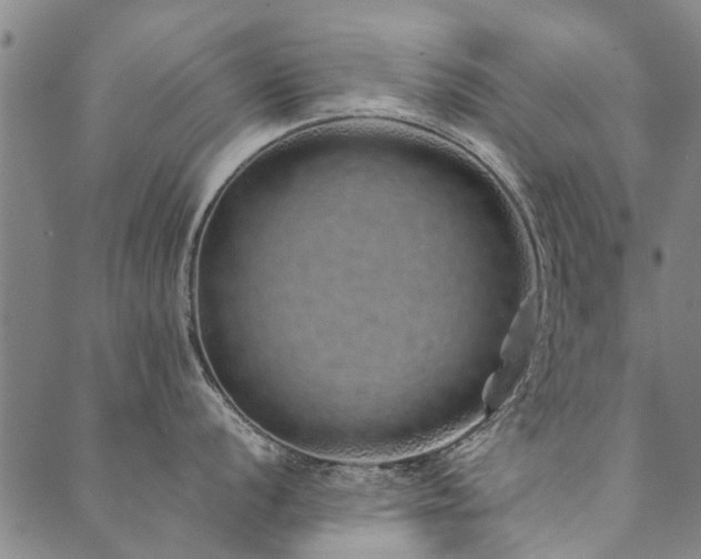 X0000090451056200707131223