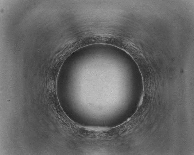 X0000090451061200707131222