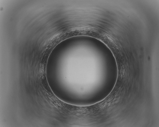 X0000090451062200707131222
