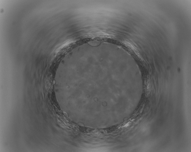 X0000090451063200707131222