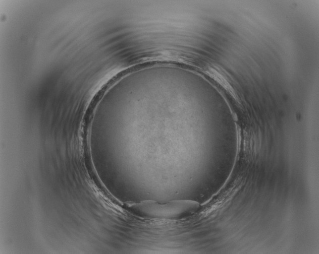 X0000090451068200707131222