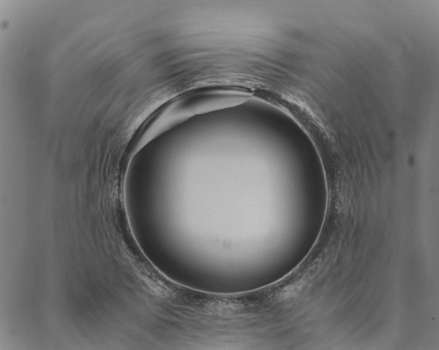 X0000090451073200707131222