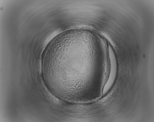 X0000090451079200707131222