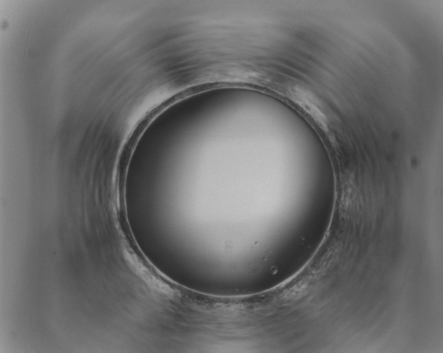 X0000090451080200707131222