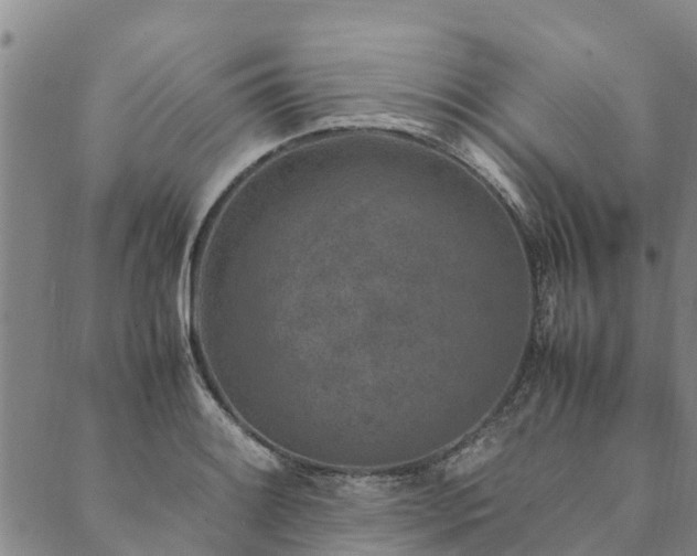 X0000090451084200707131222