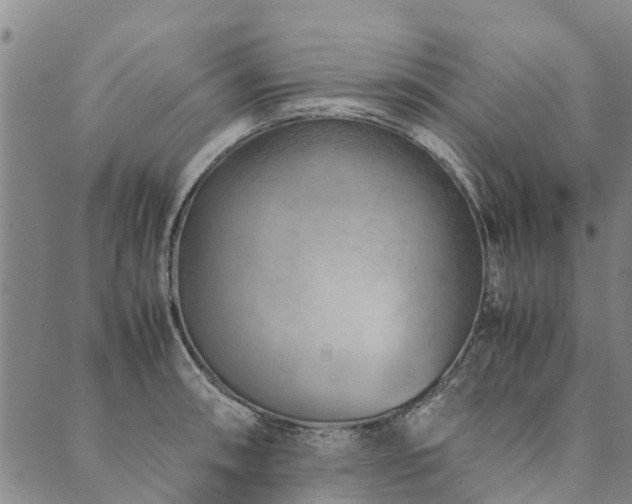 X0000090451090200707131222