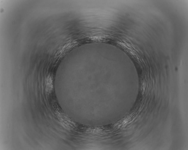 X0000090451106200707131221