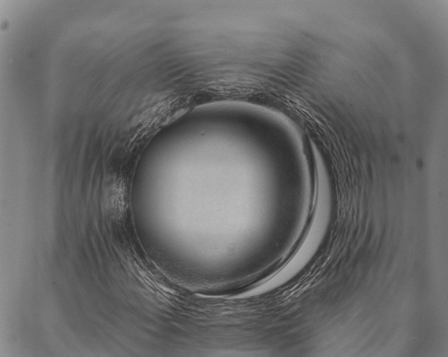 X0000090451108200707131221