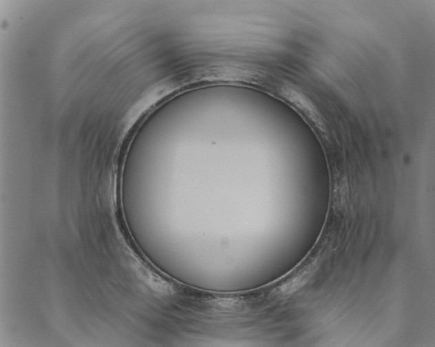 X0000090451130200707131221